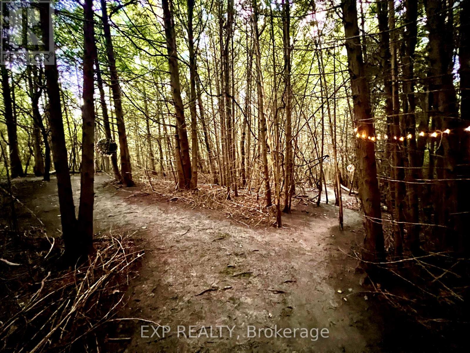 10040 Danforth Road, Cobourg, Ontario  K9A 4J8 - Photo 26 - X12395966