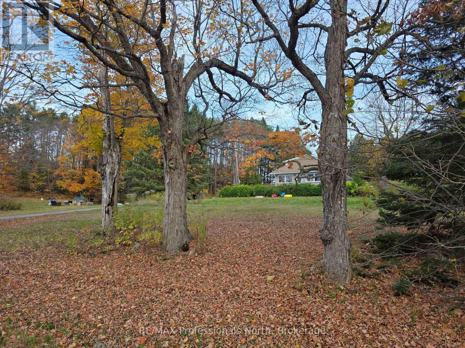 10416 Highway 118, Algonquin Highlands, Ontario  K0M 1S0 - Photo 36 - X12476047