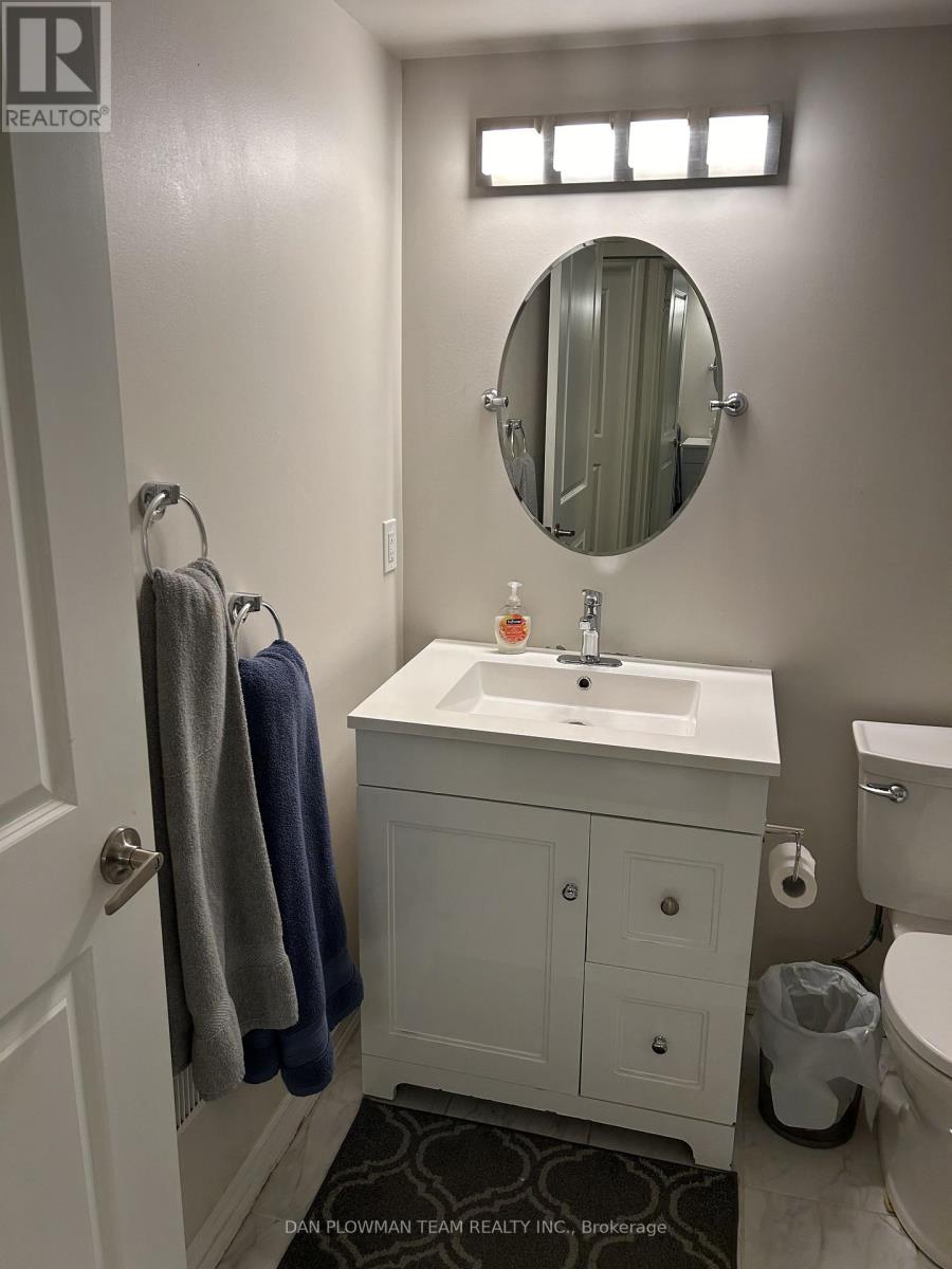 Basement - 28 Sheldon Drive, Ajax, Ontario  L1T 0L9 - Photo 25 - E12477213