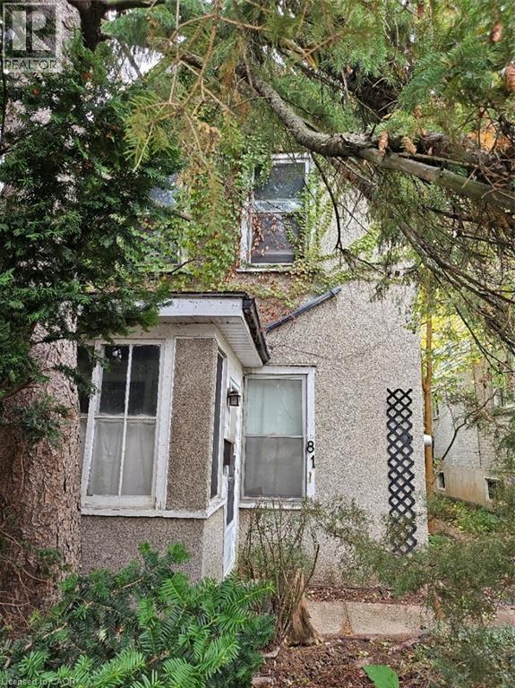 81 Emerson Street, Hamilton, Ontario  L8S 2X5 - Photo 1 - 40781562