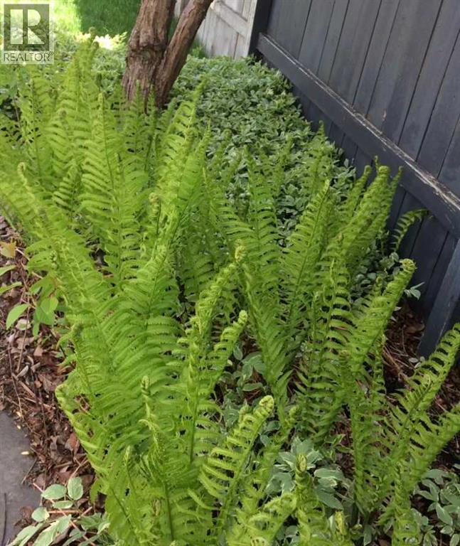 4644 84 Street Nw, Calgary, Alberta  T3B 2R5 - Photo 49 - A2265999