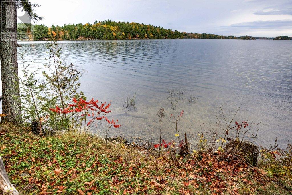 252 D Lb2 Coons Road E, Rideau Lakes, Ontario  K0G 1E0 - Photo 10 - X12477262