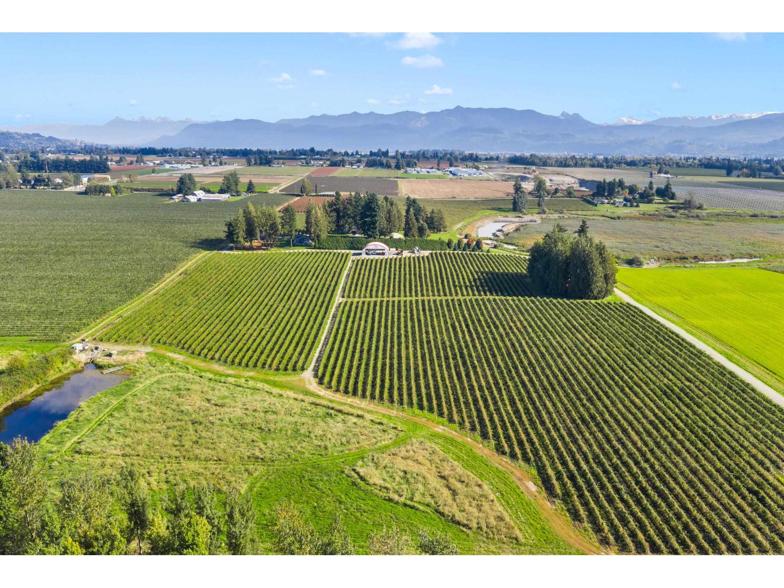 197 Clearbrook Road, Abbotsford, British Columbia  V2T 5X1 - Photo 9 - R3061075