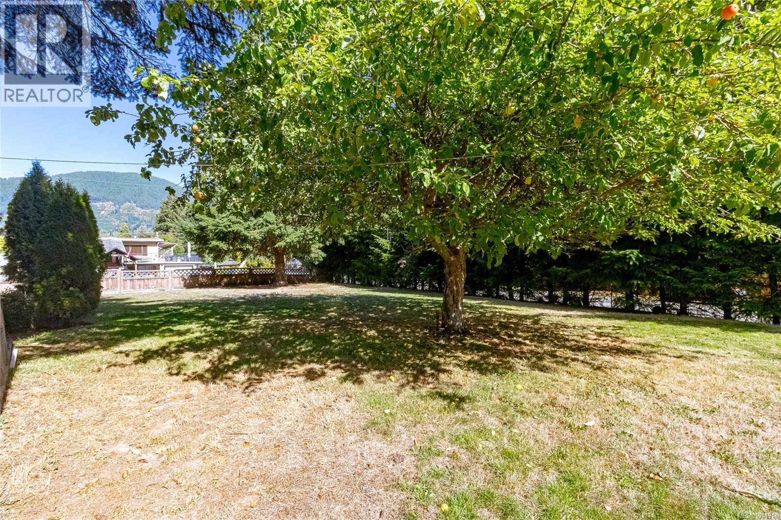 160 Comiaken Ave, Lake Cowichan, British Columbia  V0R 2G0 - Photo 28 - 1014911