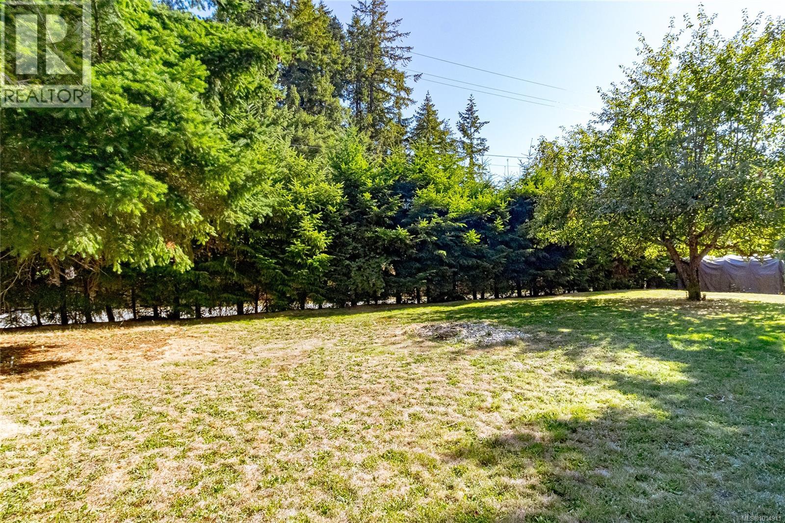 160 Comiaken Ave, Lake Cowichan, British Columbia  V0R 2G0 - Photo 4 - 1014911