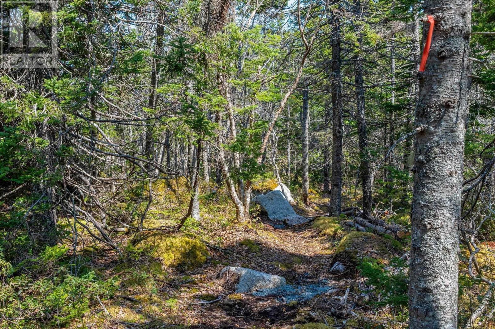 Scott's Point Road, Block A, East Dover, Nova Scotia  B3Z 3W2 - Photo 17 - 202511202
