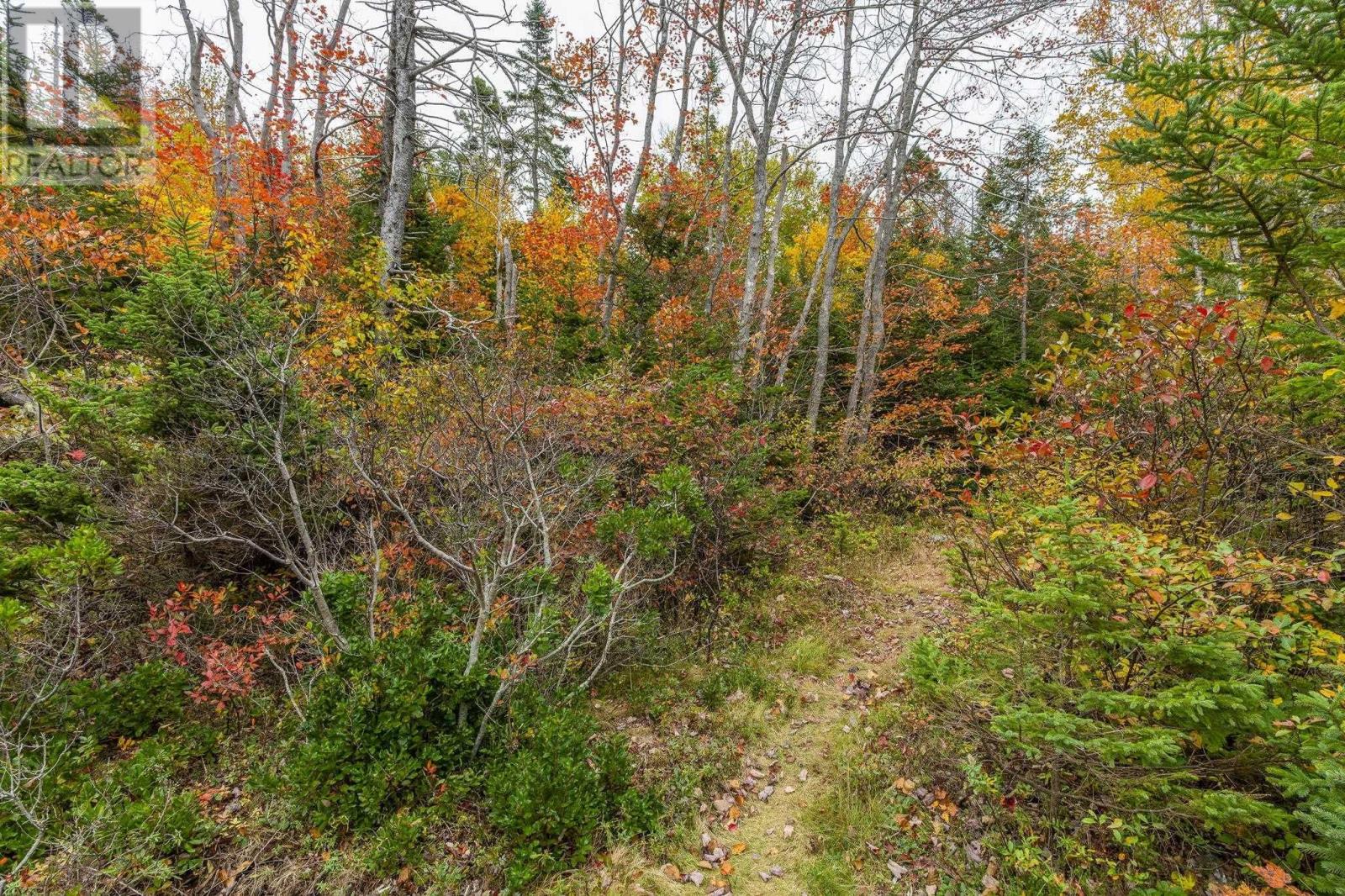 Scott's Point Road, Block A, East Dover, Nova Scotia  B3Z 3W2 - Photo 28 - 202511202