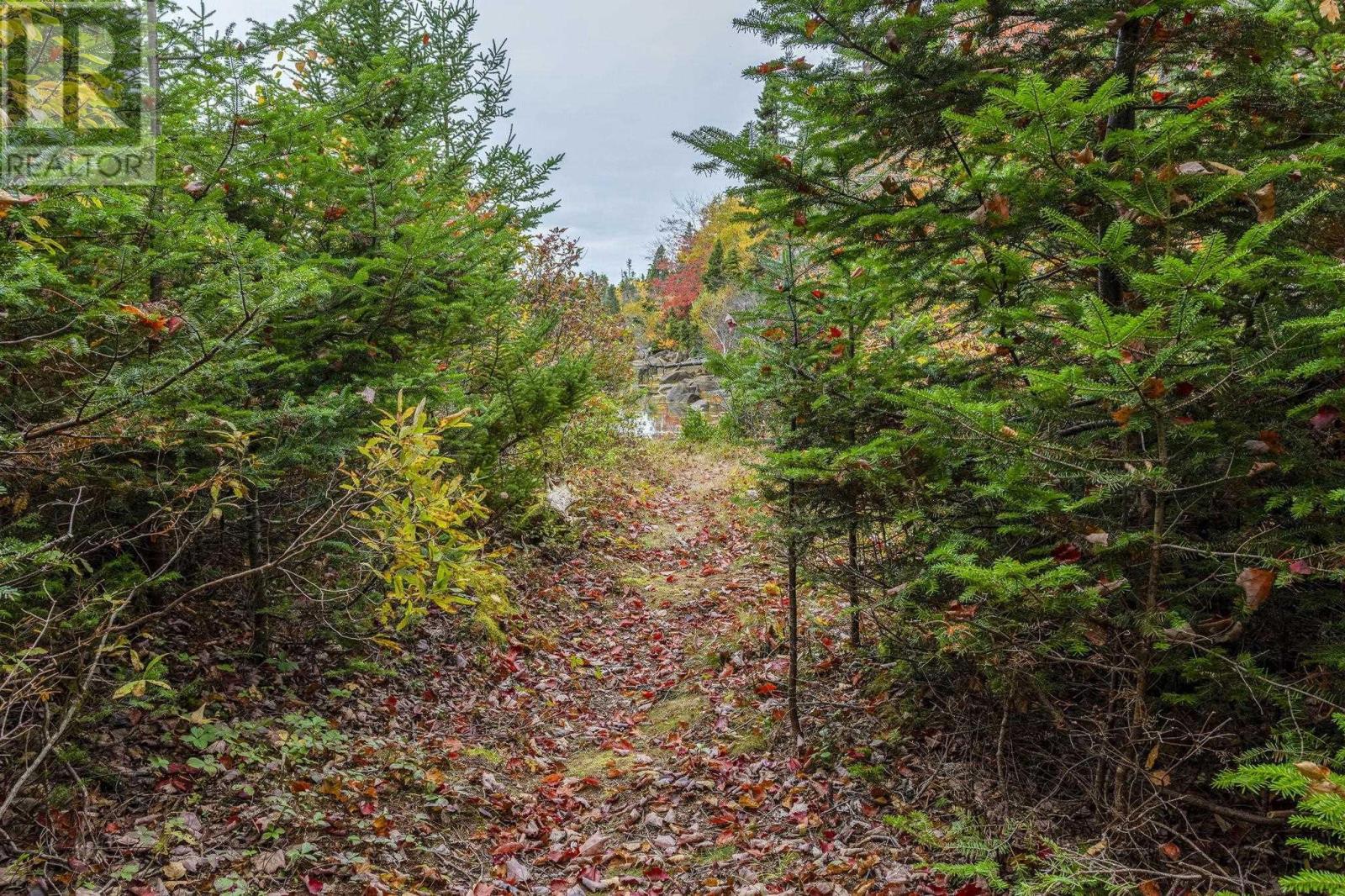 Scott's Point Road, Block A, East Dover, Nova Scotia  B3Z 3W2 - Photo 32 - 202511202