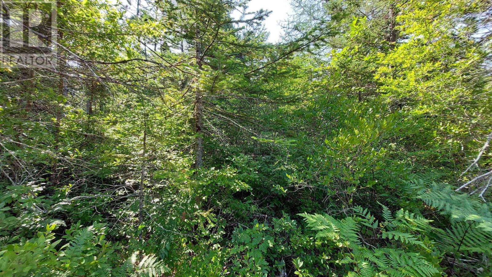 70 Acre Highway 4, Grande Anse, Nova Scotia  B0E 1J0 - Photo 8 - 202526307