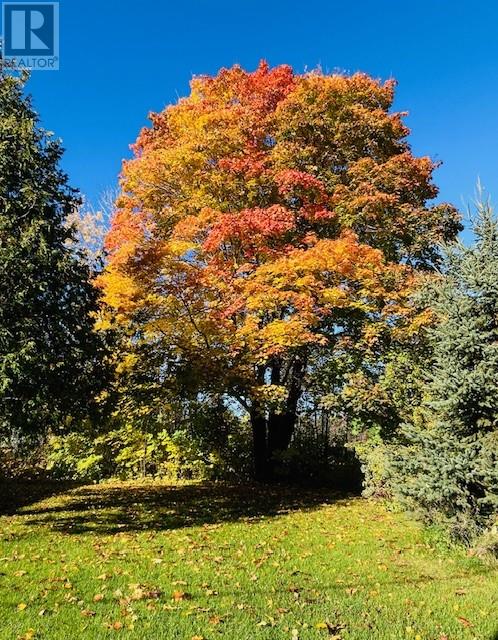 4596b Highway 17, Spragge, Ontario  P0R 1K0 - Photo 3 - 2125239