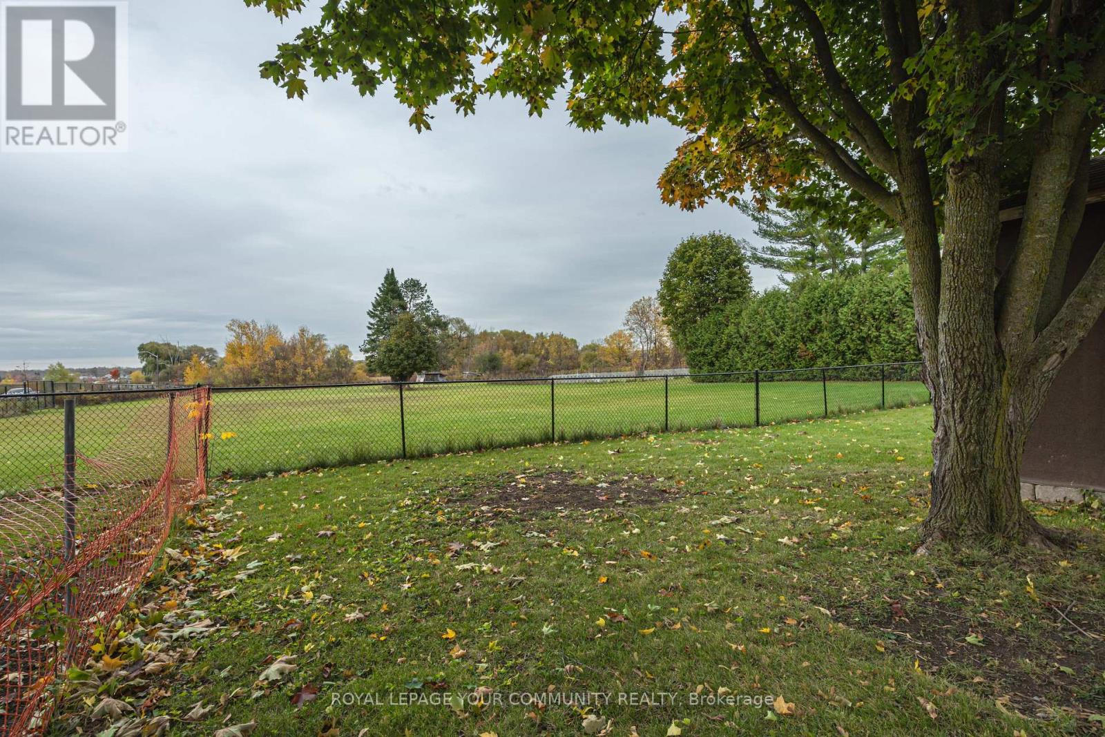173 Simcoe Road, Bradford West Gwillimbury, Ontario  L3Z 1Y3 - Photo 41 - N12477324