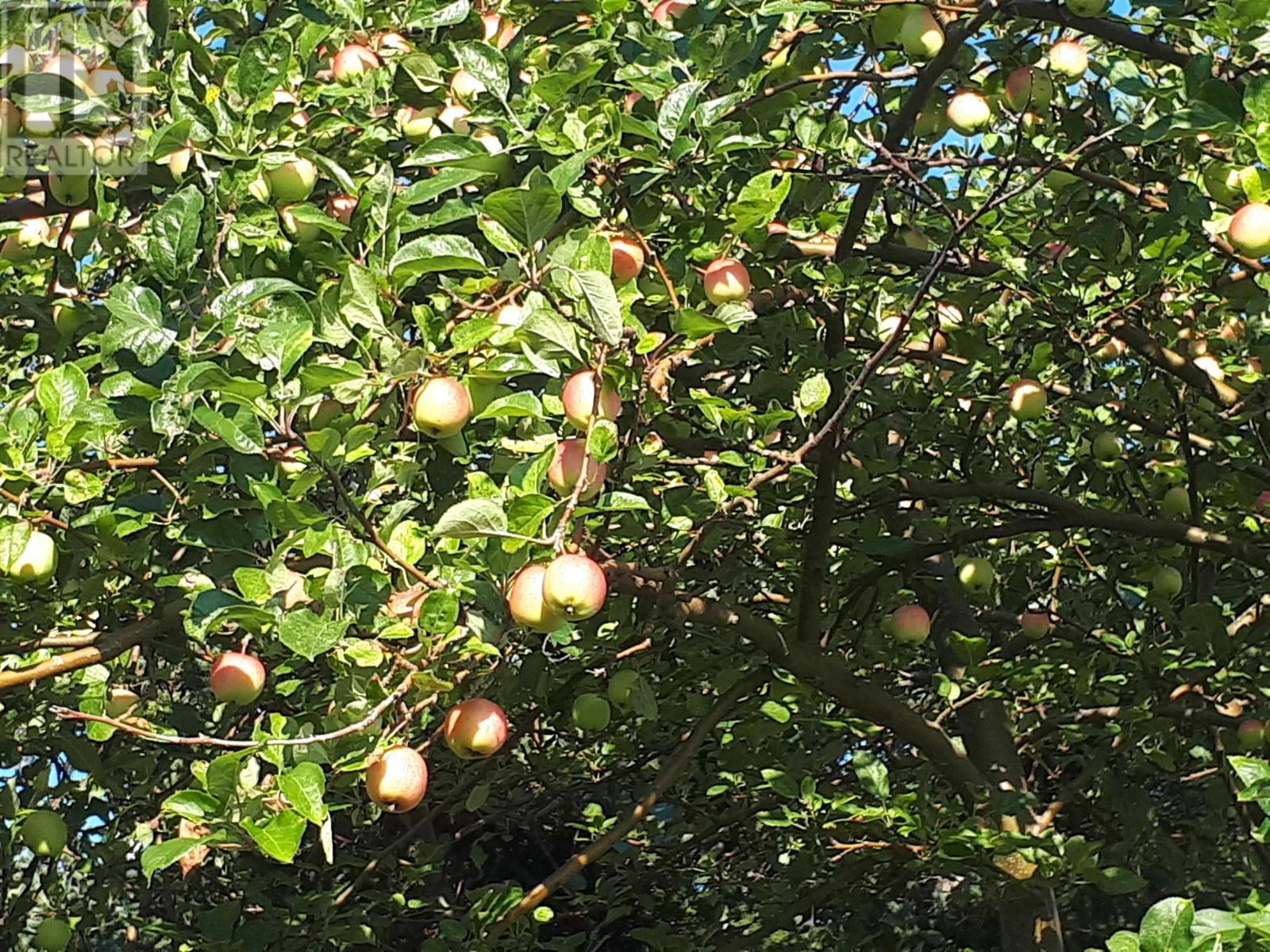 75 Evanston Rd, Cleveland, Nova Scotia  B0E 1J0 - Photo 23 - 202518843