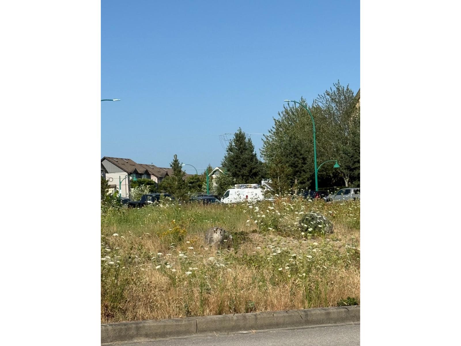 6725 192 Diversion Street, Surrey, British Columbia  V4N 6A3 - Photo 27 - C8071154