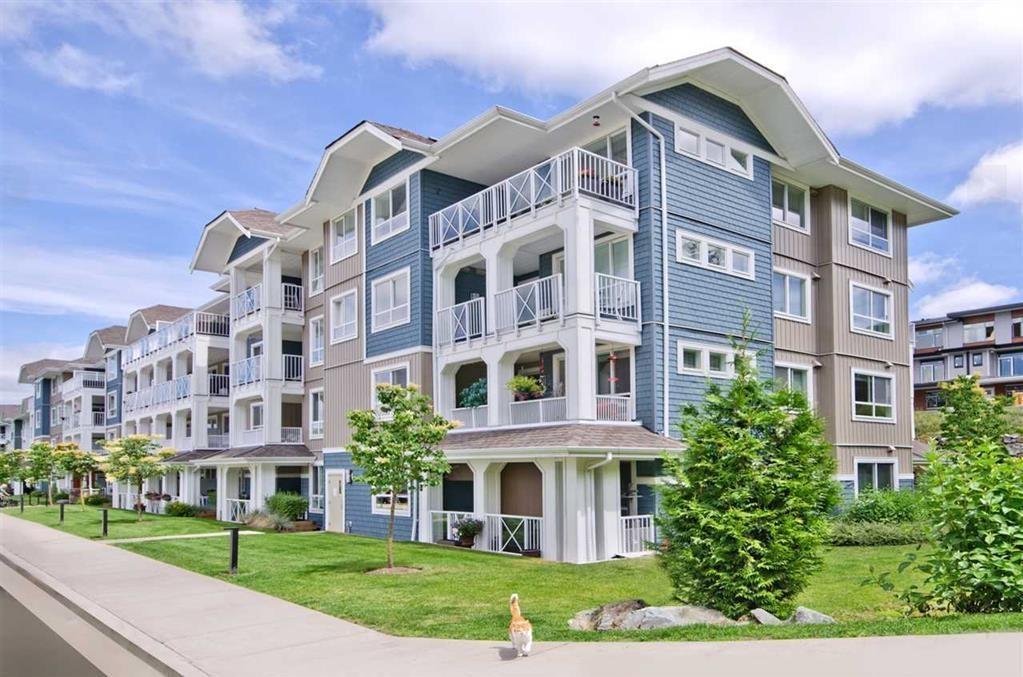 311 16396 64 Avenue, Surrey, British Columbia  V3S 6X6 - Photo 5 - R3061279