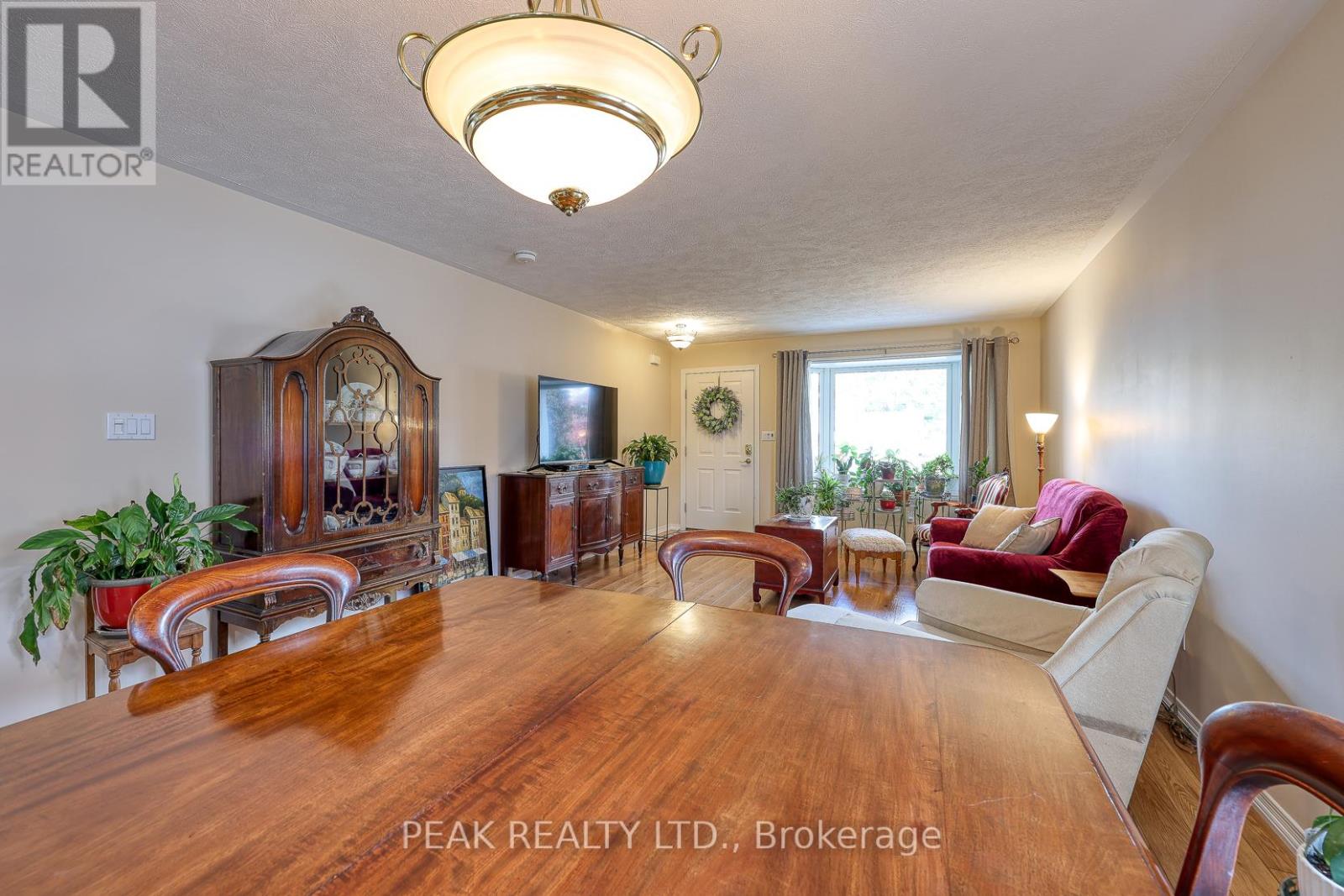 217 North Street E, Tillsonburg, Ontario  N4G 1B8 - Photo 20 - X12477374