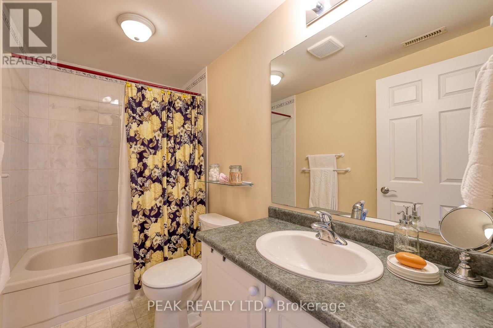 217 North Street E, Tillsonburg, Ontario  N4G 1B8 - Photo 45 - X12477374