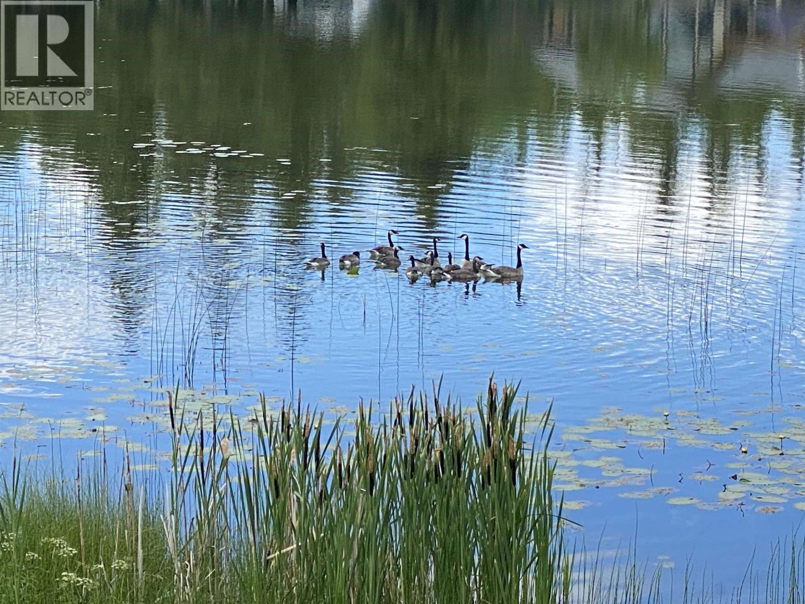 6323 Moose Point Drive, 100 Mile House, British Columbia  V0K 2K1 - Photo 9 - R3026188