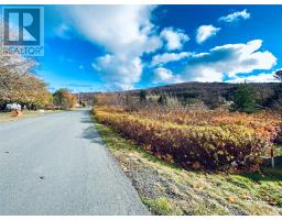 86 Riverdale Crescent, Salmon Cove, Newfoundland & Labrador