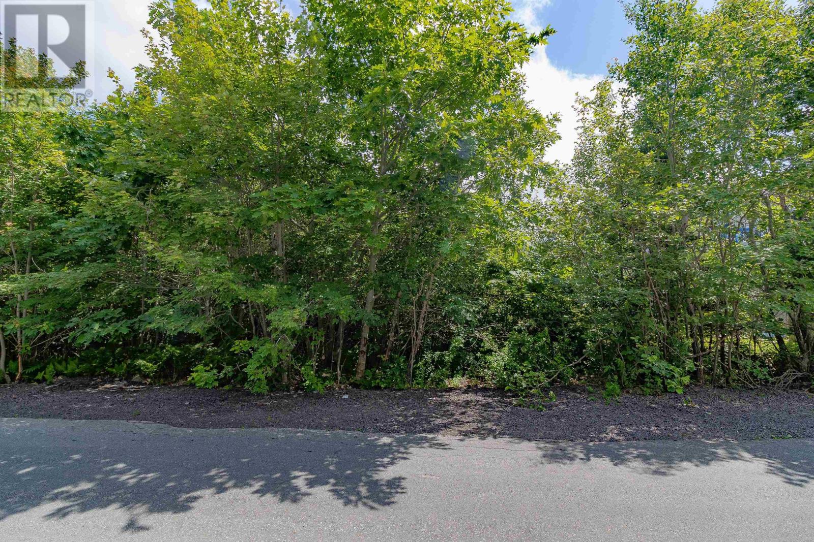 Mansion Avenue, Halifax, Nova Scotia  B3R 1E1 - Photo 8 - 202526390