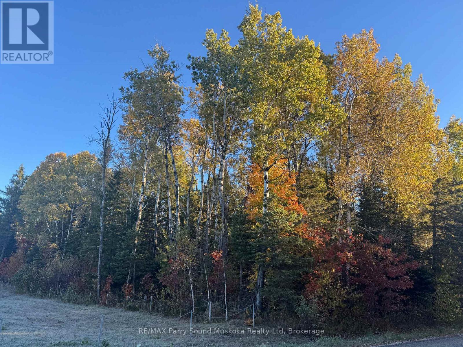 76 Legrou Lake Road, Parry Sound Remote Area, Ontario  P0H 1A0 - Photo 6 - X12477619