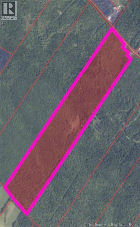 N/a Maple Grove Road, Maple Grove, New Brunswick  E6B 1W2 - Photo 1 - NB128972