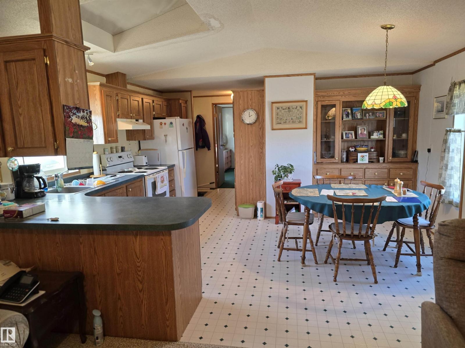 21 4819 51 Av, Millet, Alberta  T0C 1Z0 - Photo 8 - E4463066
