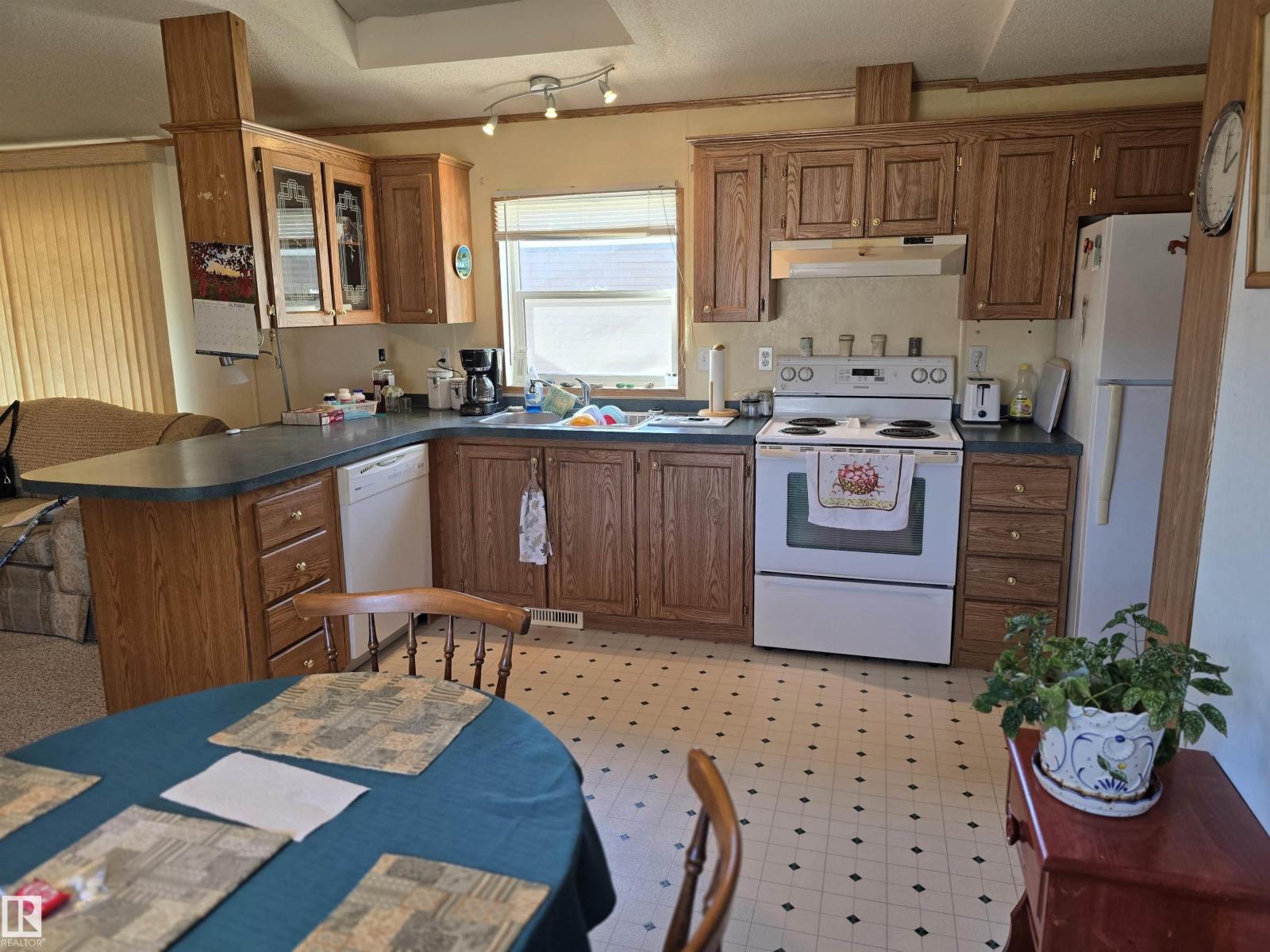 21 4819 51 Av, Millet, Alberta  T0C 1Z0 - Photo 10 - E4463066