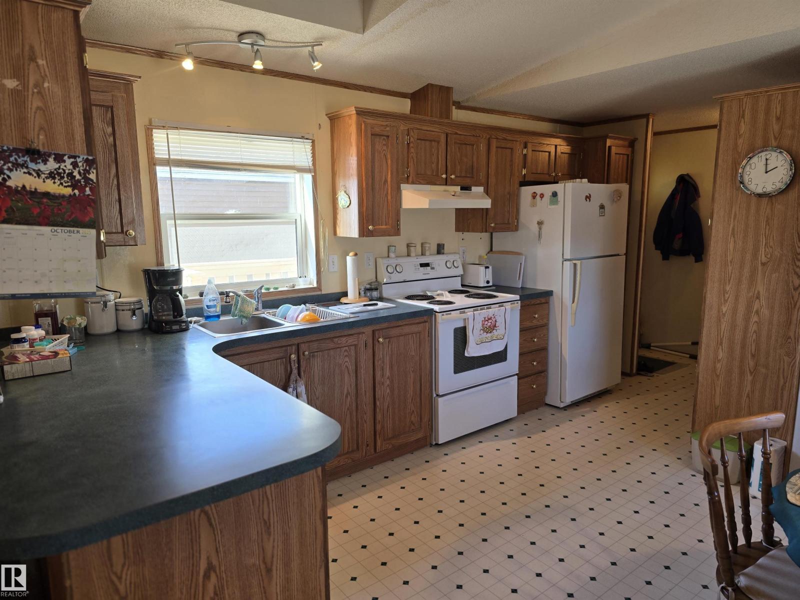 21 4819 51 Av, Millet, Alberta  T0C 1Z0 - Photo 11 - E4463066