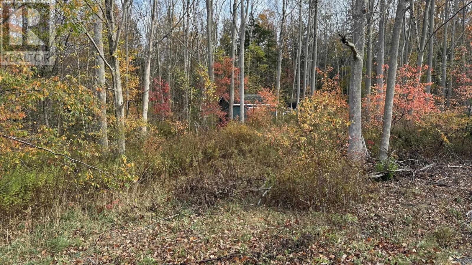 403 Easton Road, Hilltown, Nova Scotia  B0R 1T0 - Photo 17 - 202515248