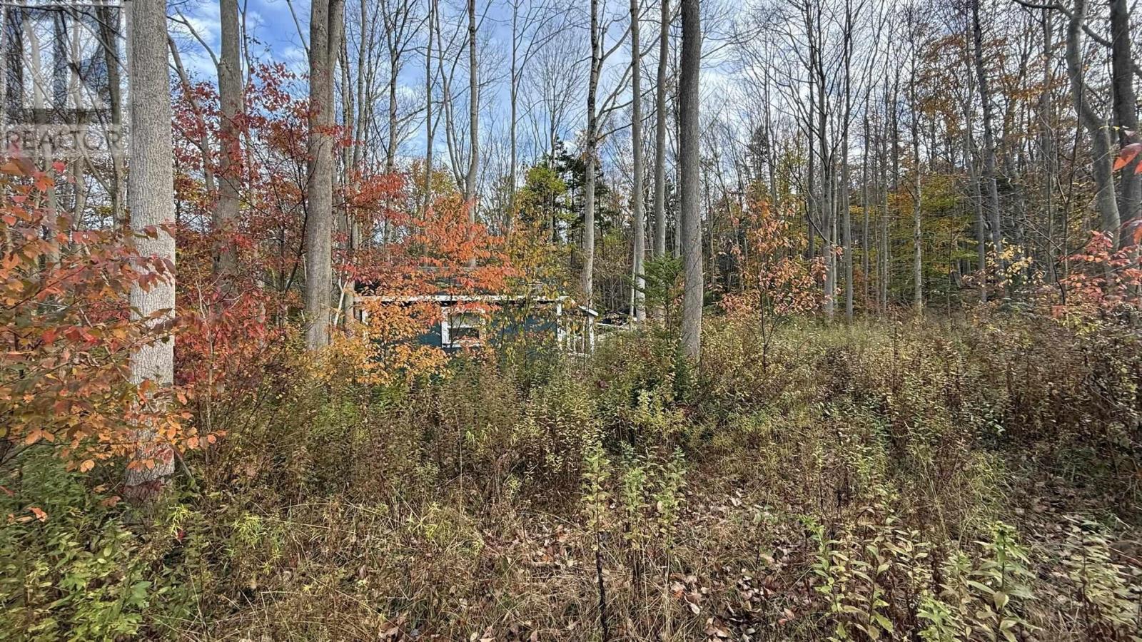 403 Easton Road, Hilltown, Nova Scotia  B0R 1T0 - Photo 15 - 202515248