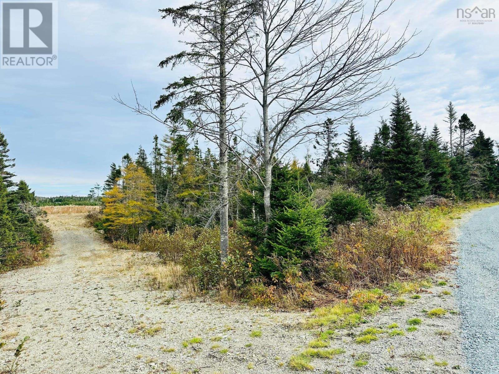 Lot 09-5 West Liscomb Point Road, West Liscomb, Nova Scotia  B0J 2A0 - Photo 7 - 202514389