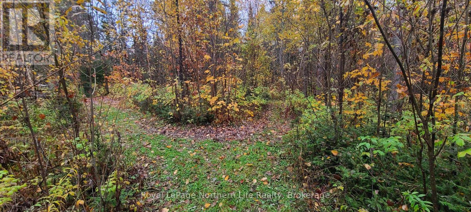 Chiswick Line Himsworth Con 10 Pt Lot 5 Line, Powassan, Ontario  P0H 1Z0 - Photo 7 - X12473913