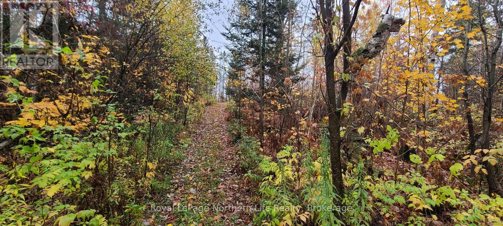Chiswick Line Himsworth Con 10 Pt Lot 5 Line, Powassan, Ontario  P0H 1Z0 - Photo 6 - X12473913