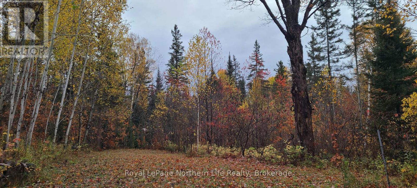 Chiswick Line Himsworth Con 10 Pt Lot 5 Line, Powassan, Ontario  P0H 1Z0 - Photo 5 - X12473913