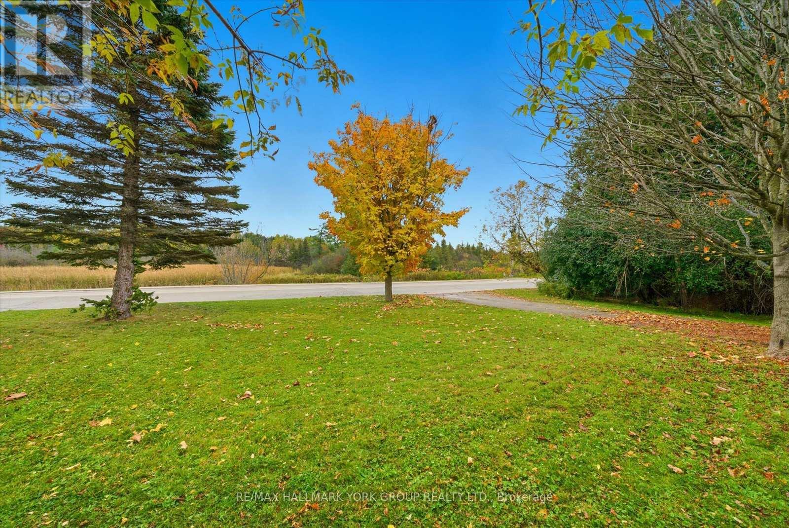 32 Station Road, Georgina, Ontario  L0E 1N0 - Photo 13 - N12473793