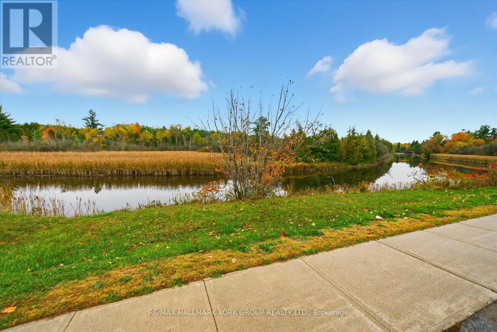 32 Station Road, Georgina, Ontario  L0E 1N0 - Photo 16 - N12473793