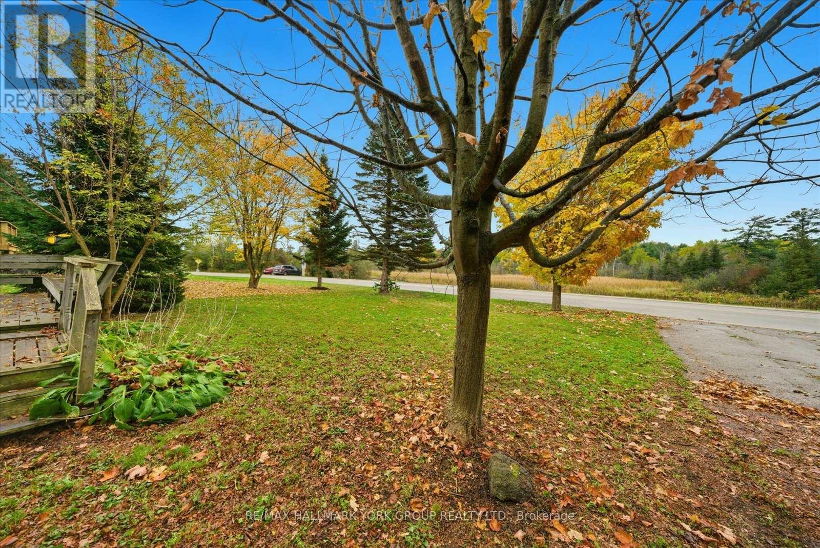 32 Station Road, Georgina, Ontario  L0E 1N0 - Photo 14 - N12473793