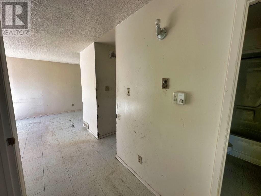 155 Harkness Street, Nipigon, Ontario  P0T 2J0 - Photo 19 - TB253198