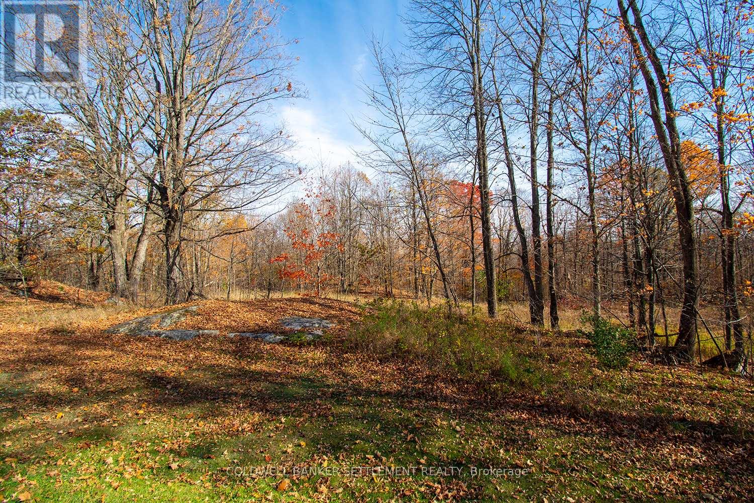 1925 Zealand Road, Frontenac, Ontario  K0H 2P0 - Photo 29 - X12473917