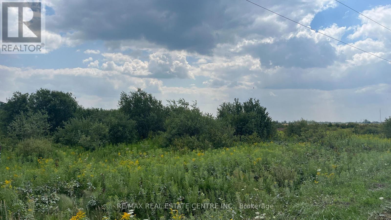 681044 260 Side Road, Melancthon, Ontario  L9V 2M7 - Photo 5 - X12473854