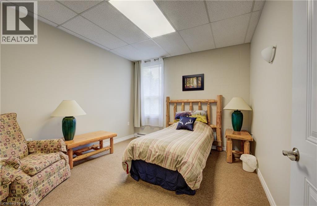 211 Birmingham Street W, Mount Forest, Ontario  N0G 2L1 - Photo 19 - 40735321