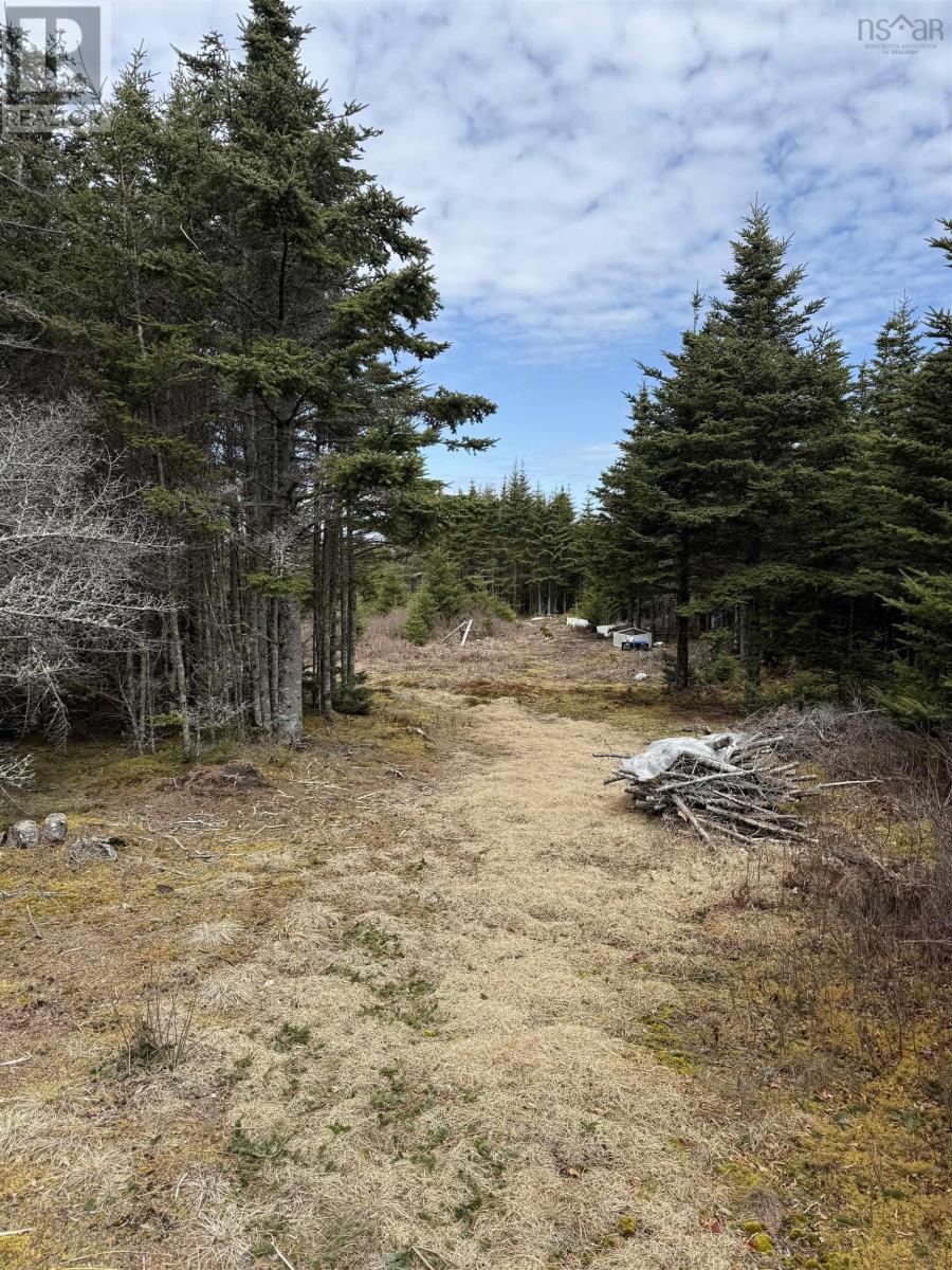 Lot Bald Rock Road, Bald Rock, Nova Scotia  B3V 1K9 - Photo 19 - 202510658