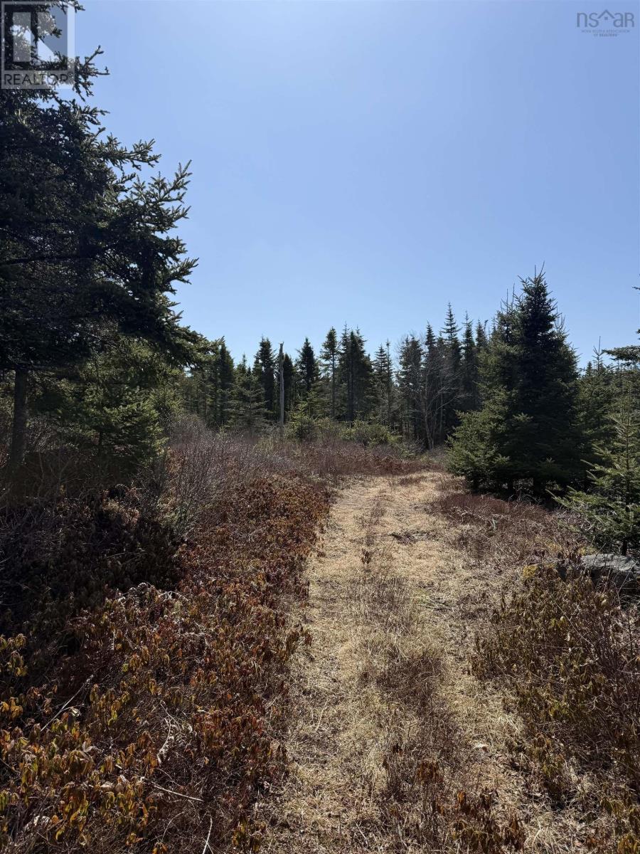 Lot Bald Rock Road, Bald Rock, Nova Scotia  B3V 1K9 - Photo 18 - 202510658