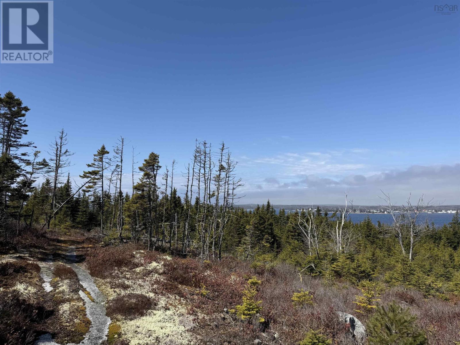 Lot Bald Rock Road, Bald Rock, Nova Scotia  B3V 1K9 - Photo 7 - 202510658