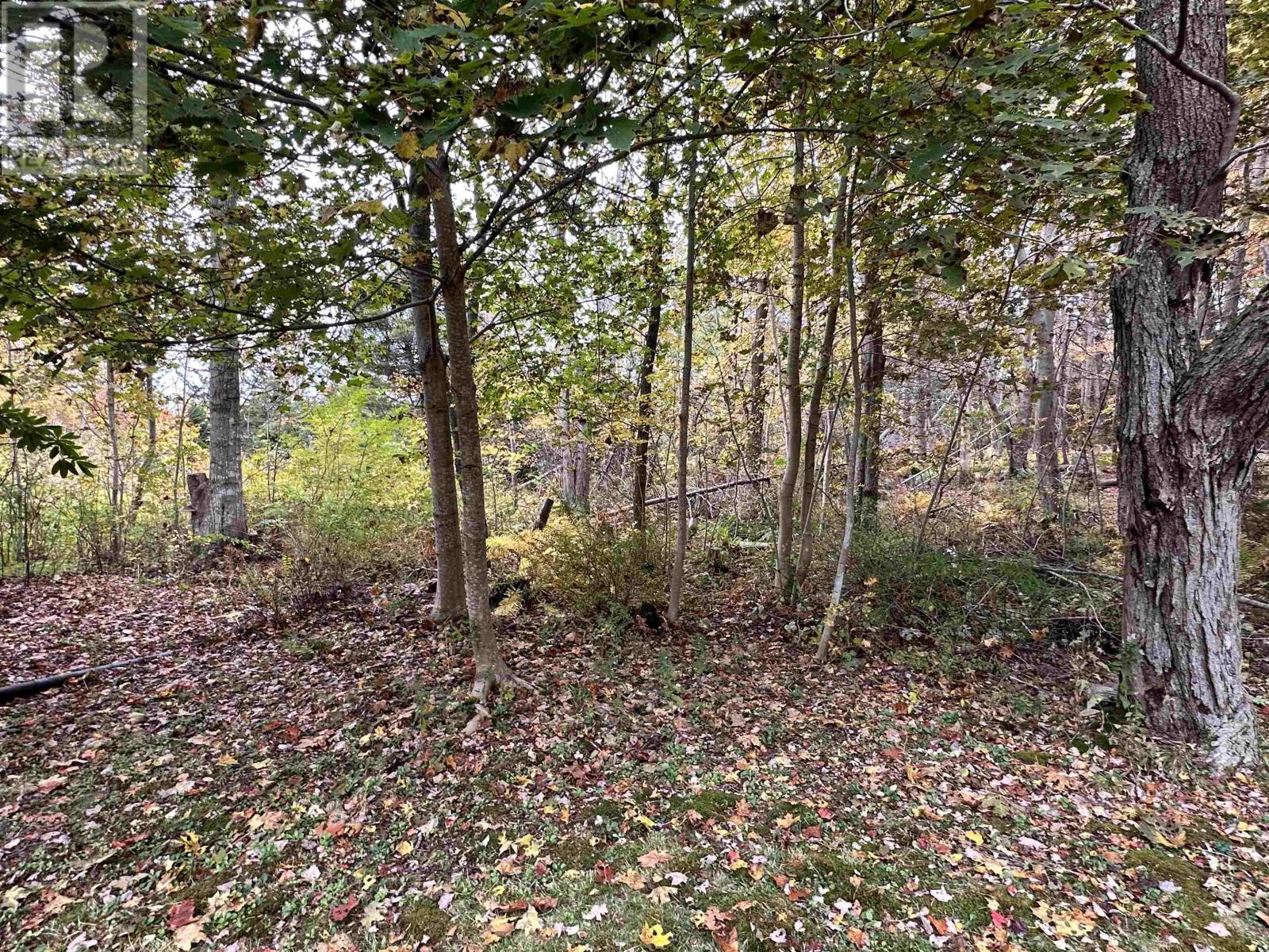 79 Waterloo Street, Liverpool, Nova Scotia  B0T 1K0 - Photo 34 - 202526397