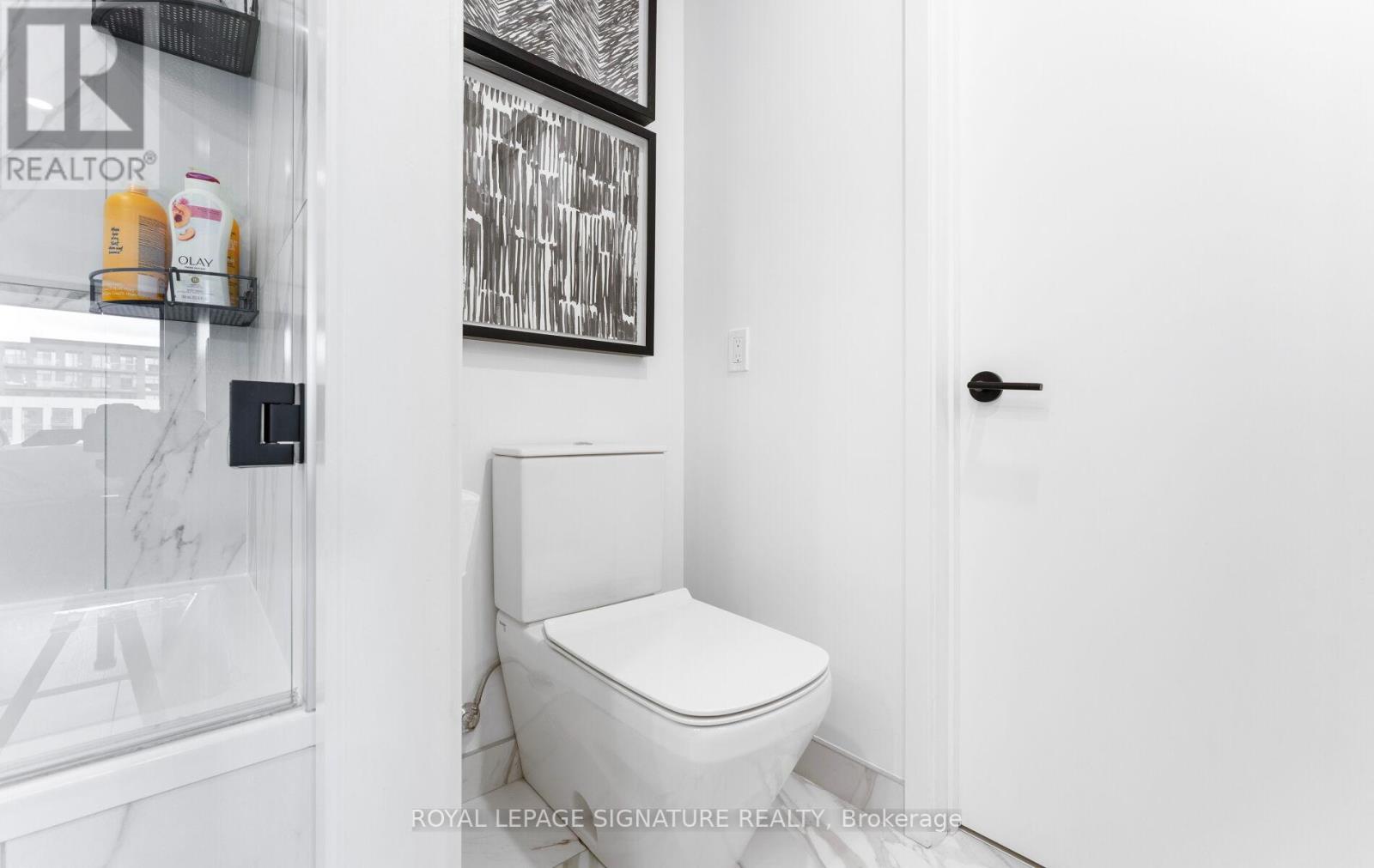 909 - 505 Richmond Street W, Toronto, Ontario  M5V 0P4 - Photo 19 - C12477764