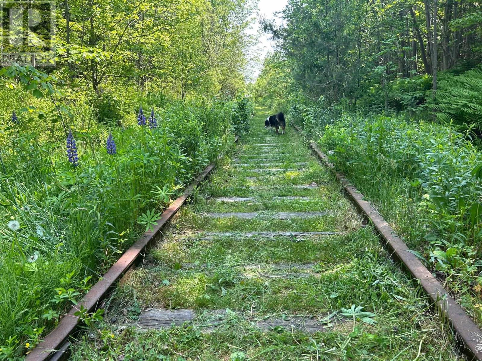 (Unit 1) 130 Everlina Lane, Windsor Junction, Nova Scotia  B2T 0T3 - Photo 11 - 202504041