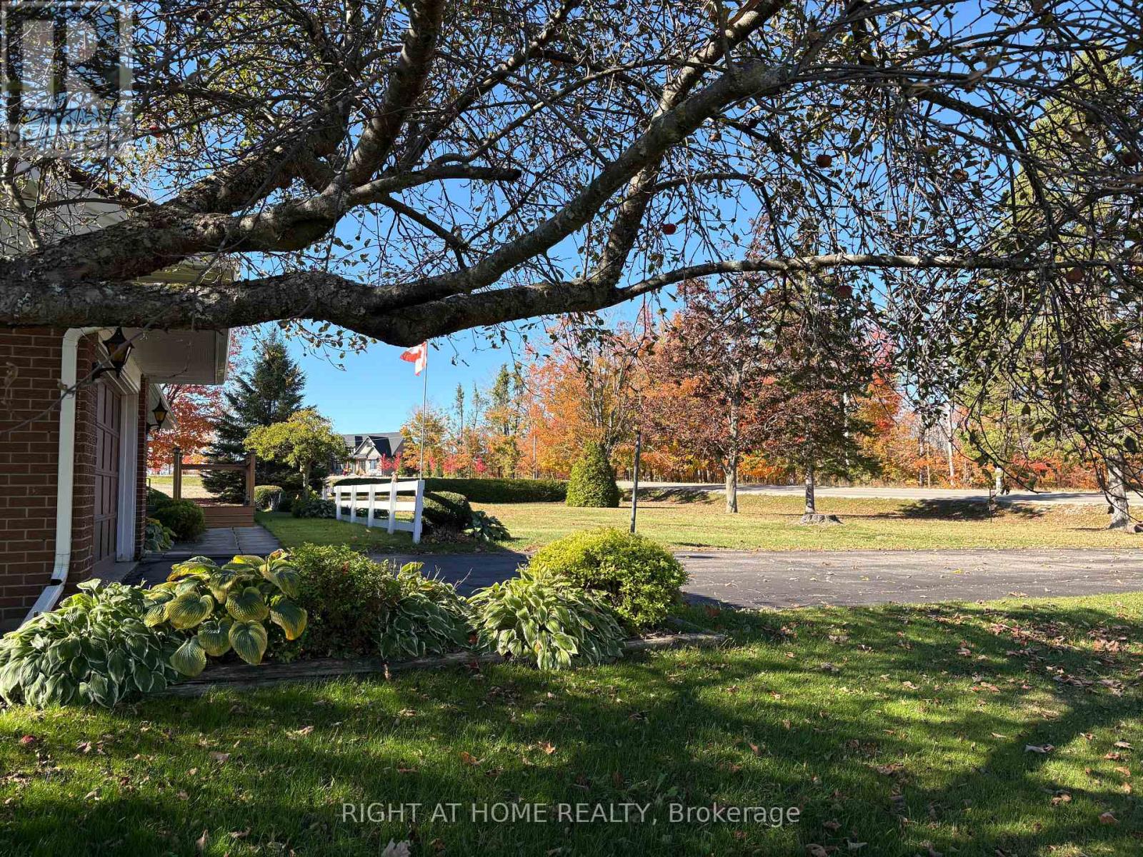 978 15/16 Side Road E, Oro-Medonte, Ontario  L0L 1T0 - Photo 5 - S12206576