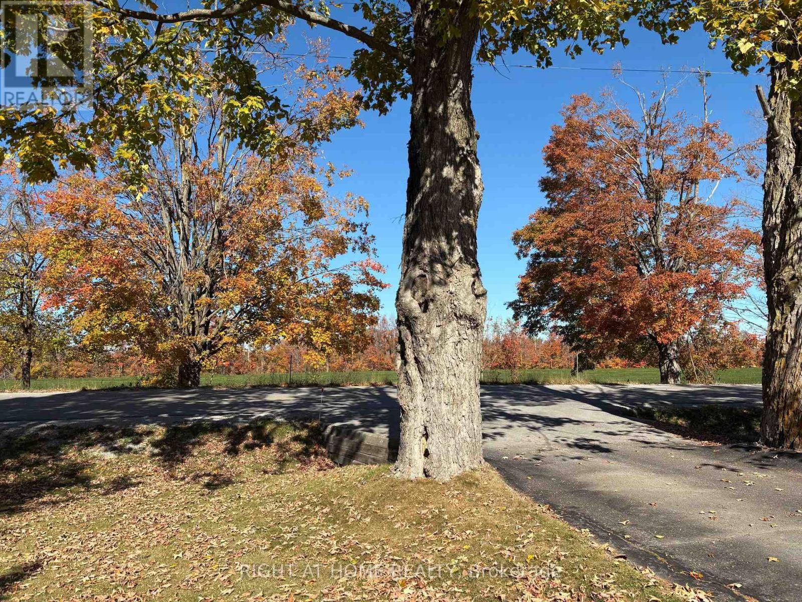 978 15/16 Side Road E, Oro-Medonte, Ontario  L0L 1T0 - Photo 29 - S12206576