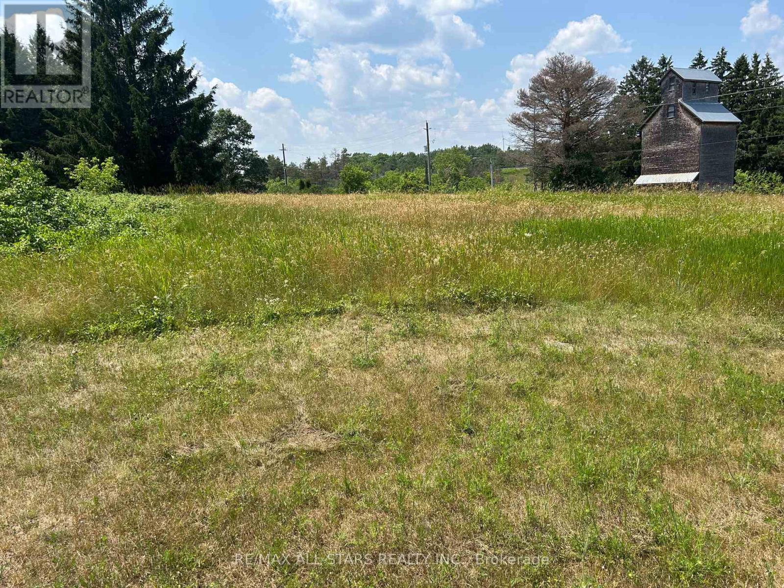 2,4,6 Thomas Street, Kawartha Lakes, Ontario L0A 1K0 - Photo 4 - X12261064